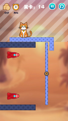 猫咪去哪儿图4