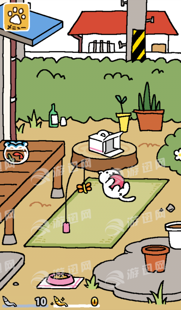 猫咪后院图4
