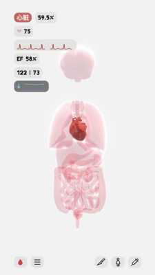 life生命图1