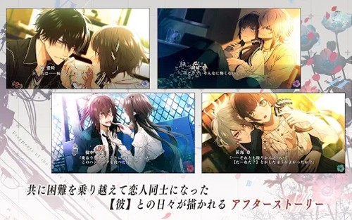 ｶﾗｰﾏﾘｽ FD图2
