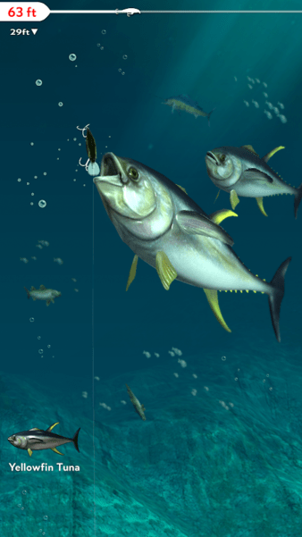 Rapala Fishing最新版图1