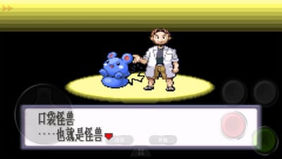 口袋妖怪究极绿宝石5.5内置修改器版图3