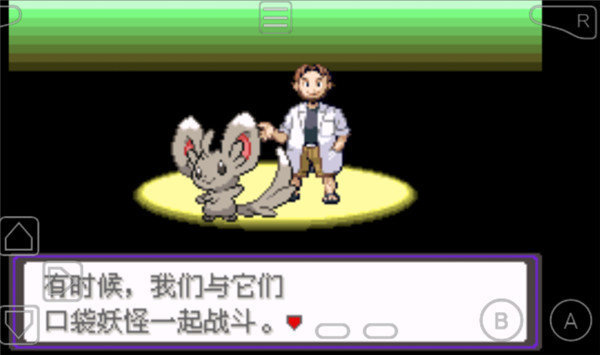 口袋妖怪火红叶绿汉化版图3