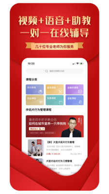 犬道图1