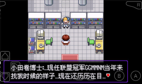 口袋妖怪火红叶绿汉化版图2