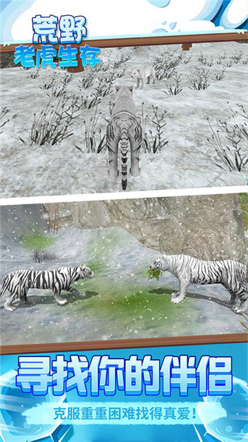 荒野老虎生存图2