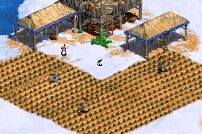 中世纪之罗马风云图5