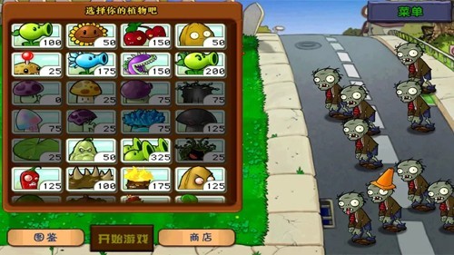 植物大战僵尸进击版图4