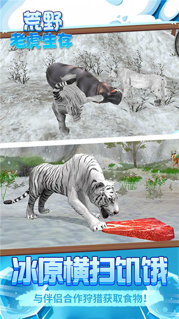 荒野老虎生存图3