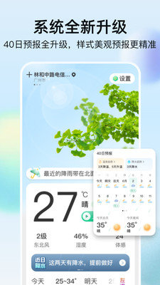 竹雨天气 竹雨天气