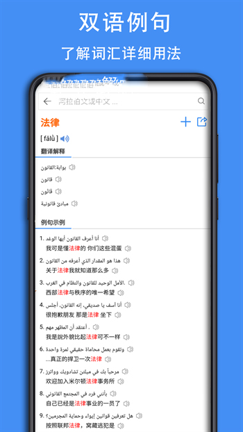 麦阿尼阿汉词典