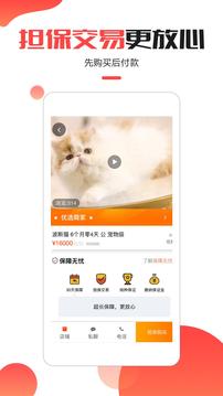 萌宠小宝宝