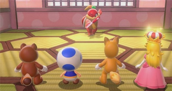 马里奥3d世界狂怒世界图2