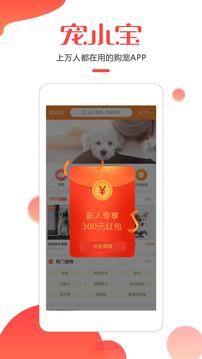 萌宠小宝宝图2