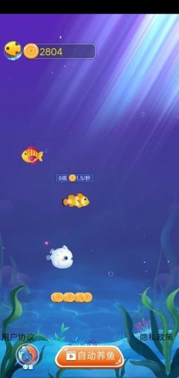 幸福鱼塘图2