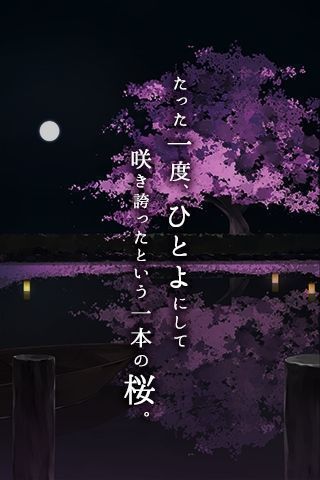 ひとよざくら图1