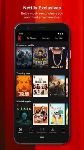 奈飞Netflixapp图1