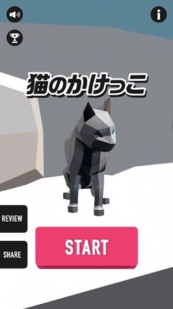 猫のかけっこ图3