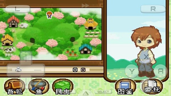 牧场物语双子村图3