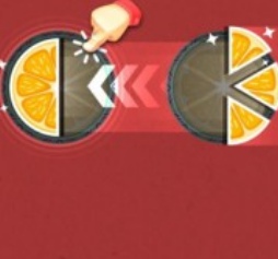 猫小帅水果拼盘