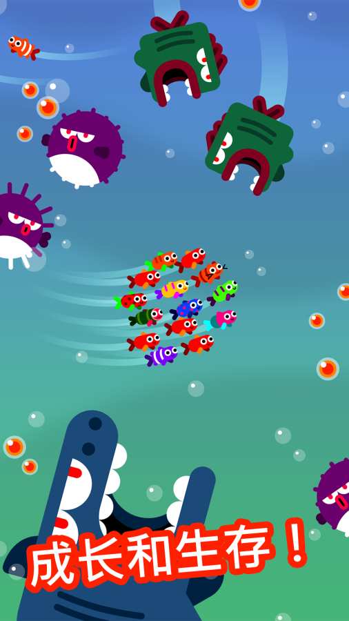 Fish & Trip