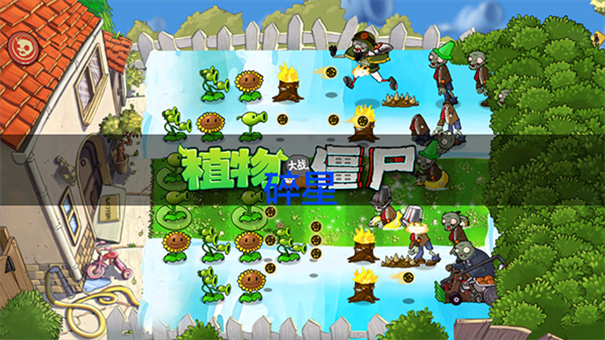 植物大战僵尸est版图6