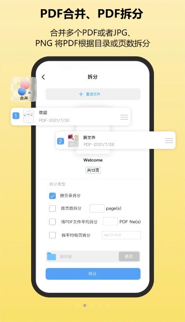 金闪PDF图1