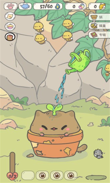 我的猫锅 我的猫锅