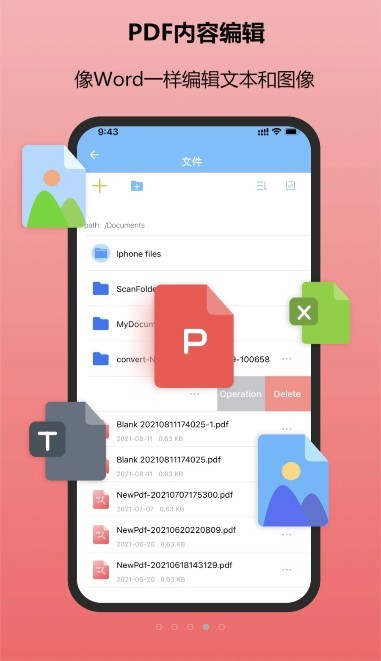 金闪PDF图3