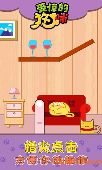 受惊的猫咪 受惊的猫咪