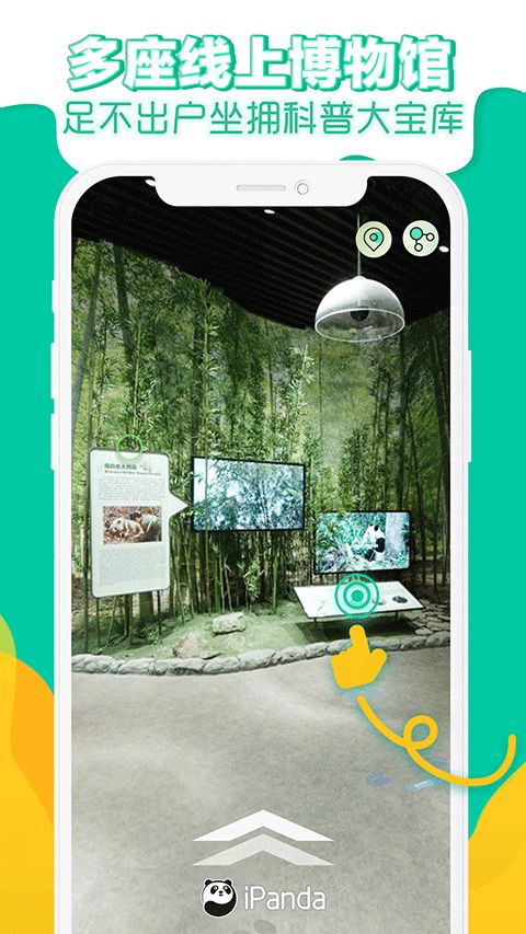 ipand熊猫频道(大熊猫在线直播软件) v3.0.1 安卓版图3
