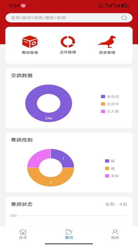 科汇赛鸽图5
