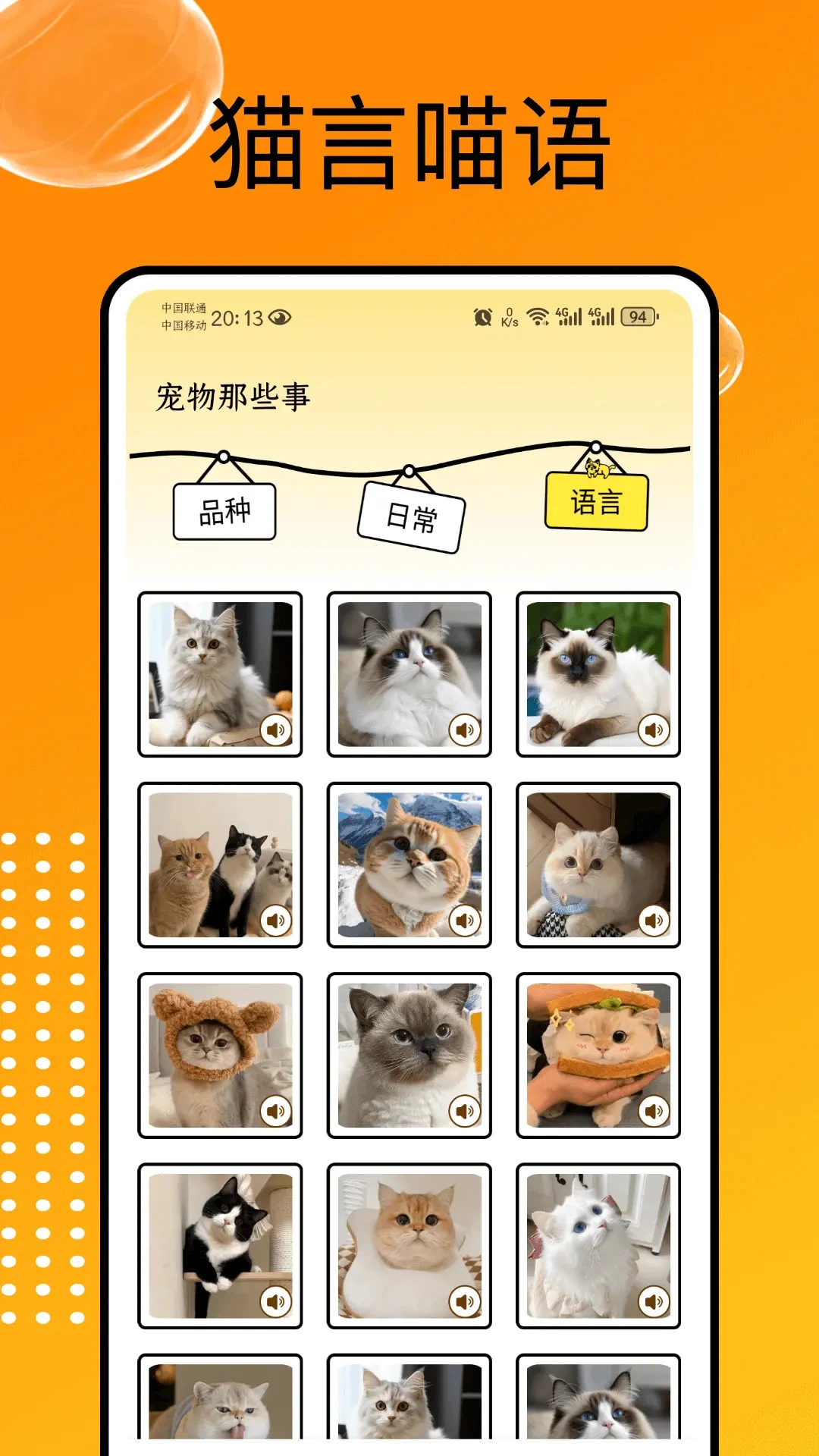 猫和