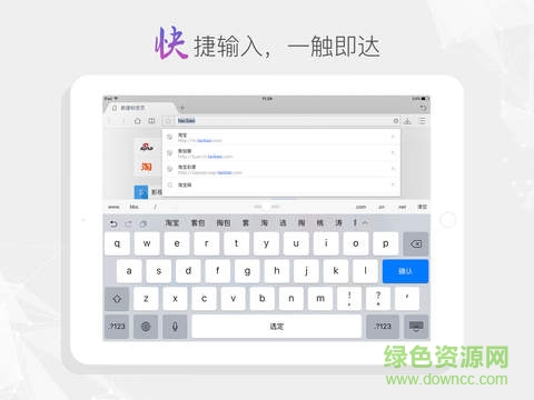 2345王牌浏览器ipad版图2