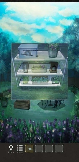 謎の森