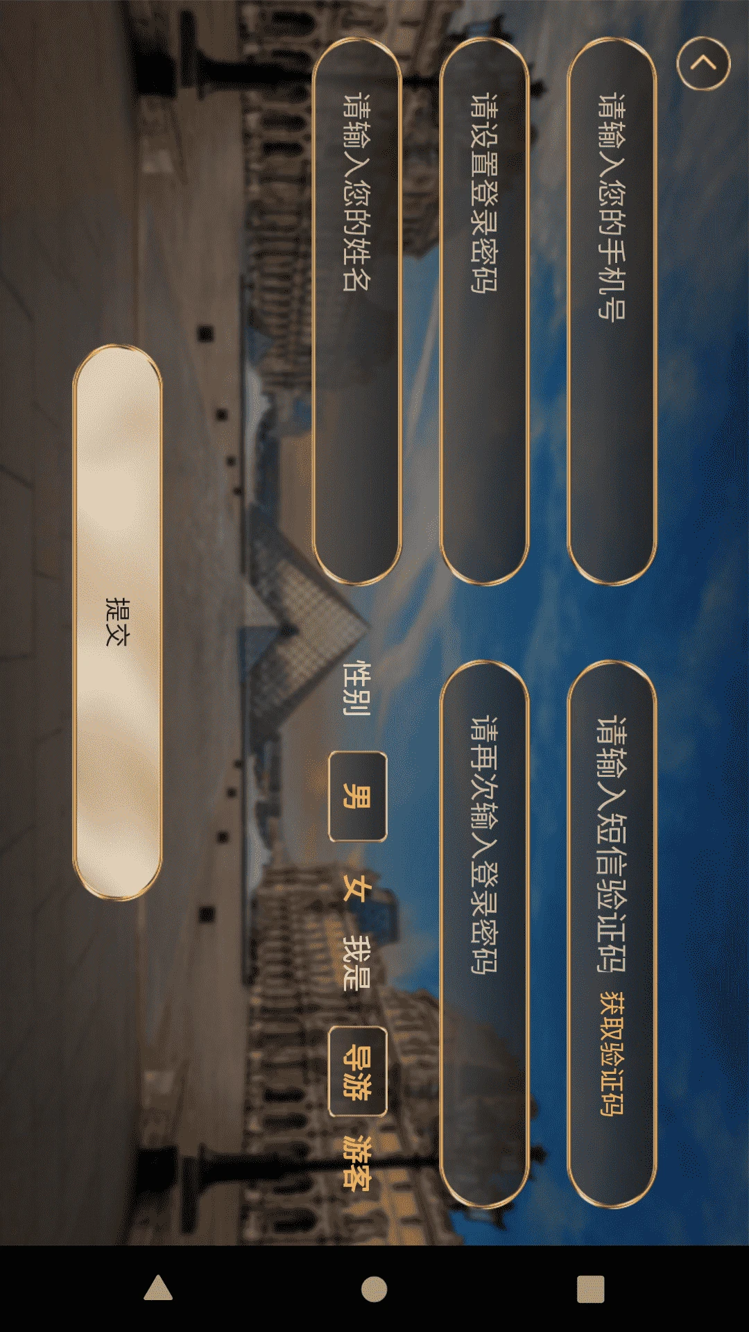 游说卢浮宫图3