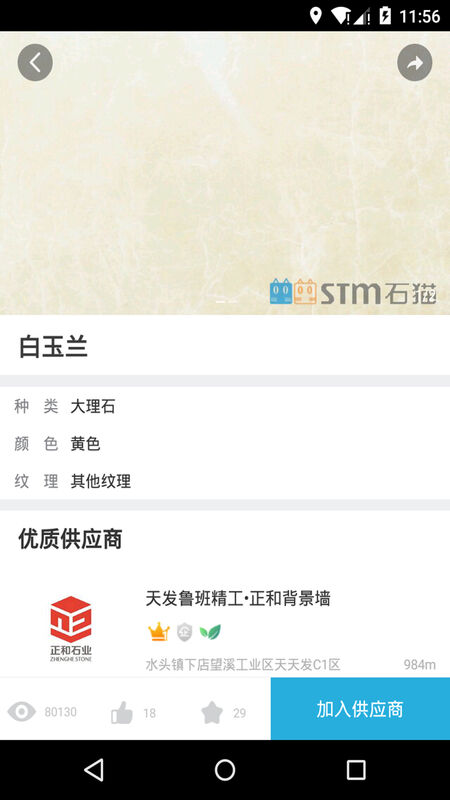 石猫图3