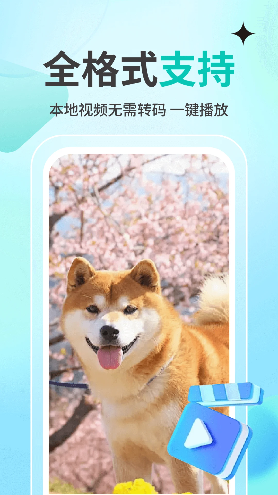 私人观影播放器player图2