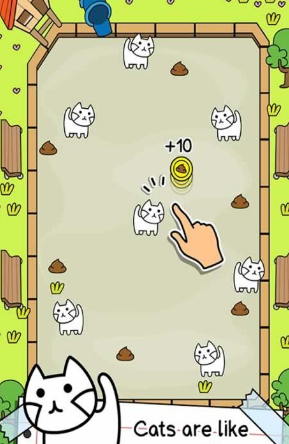 Cat Evolution(会进化的猫)图2