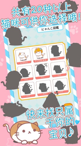 afrocat爆炸头猫图2