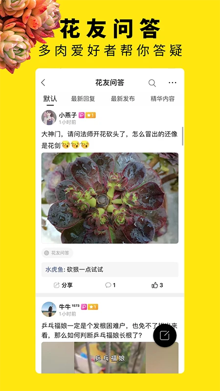 多肉圈图2