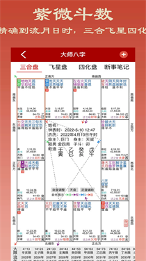 大师八字排盘图5