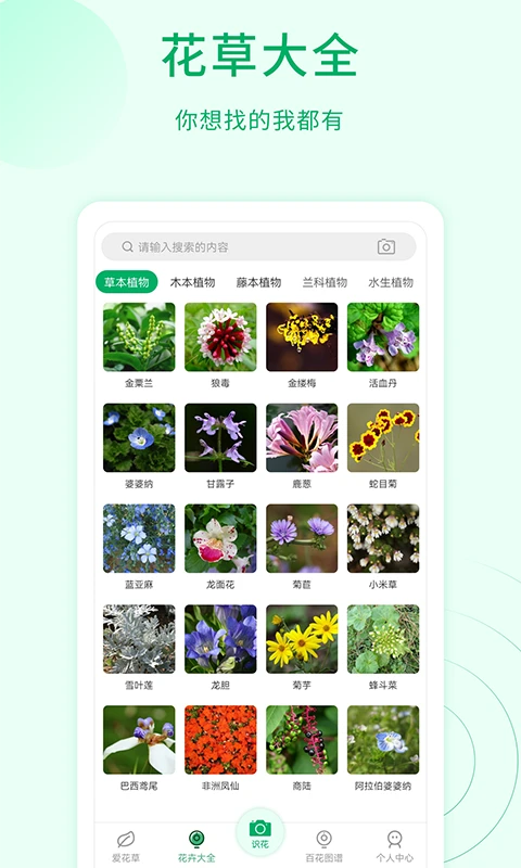 花草识别图4