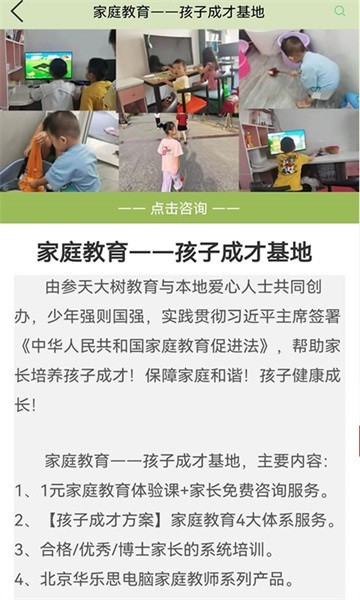 参天大树图5
