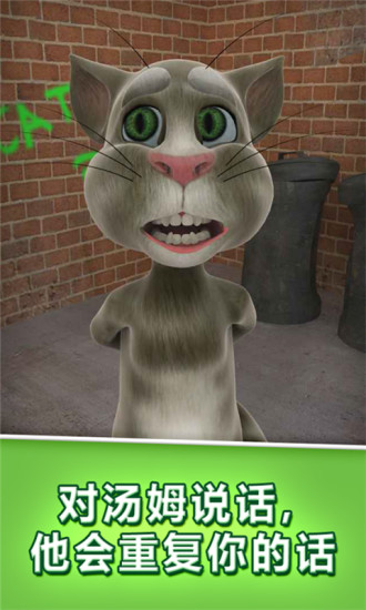 会说话的汤姆猫图3