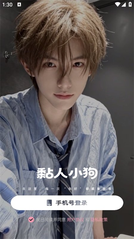 黏人小狗图4