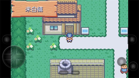 宝可梦洛克王国图2