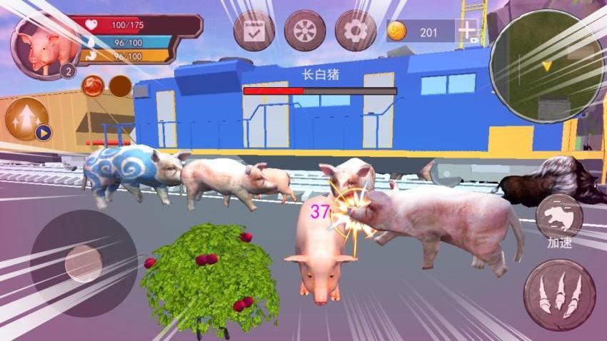 小猪模拟器1 小猪模拟器1