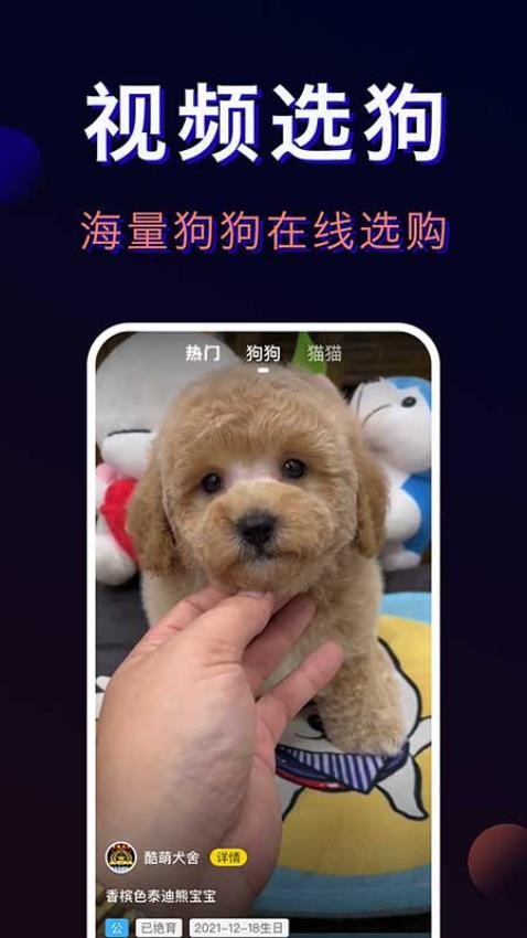 宠物宝-一站式宠物服务平台图1