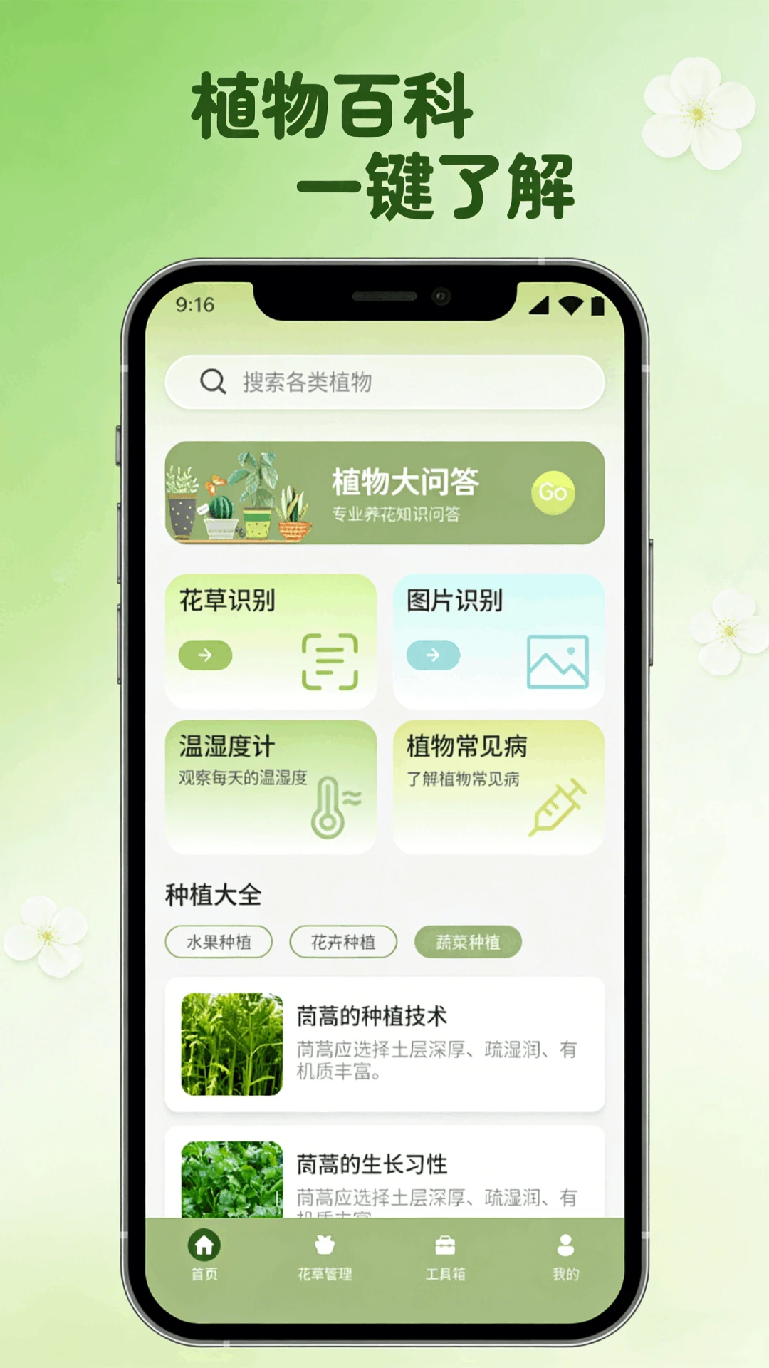 花朵小院趣植 花朵小院趣植